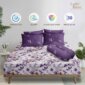 Lady Rose Prime - Sprei Petunia