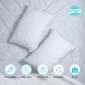 Internal - Bantal Tidur 48x70